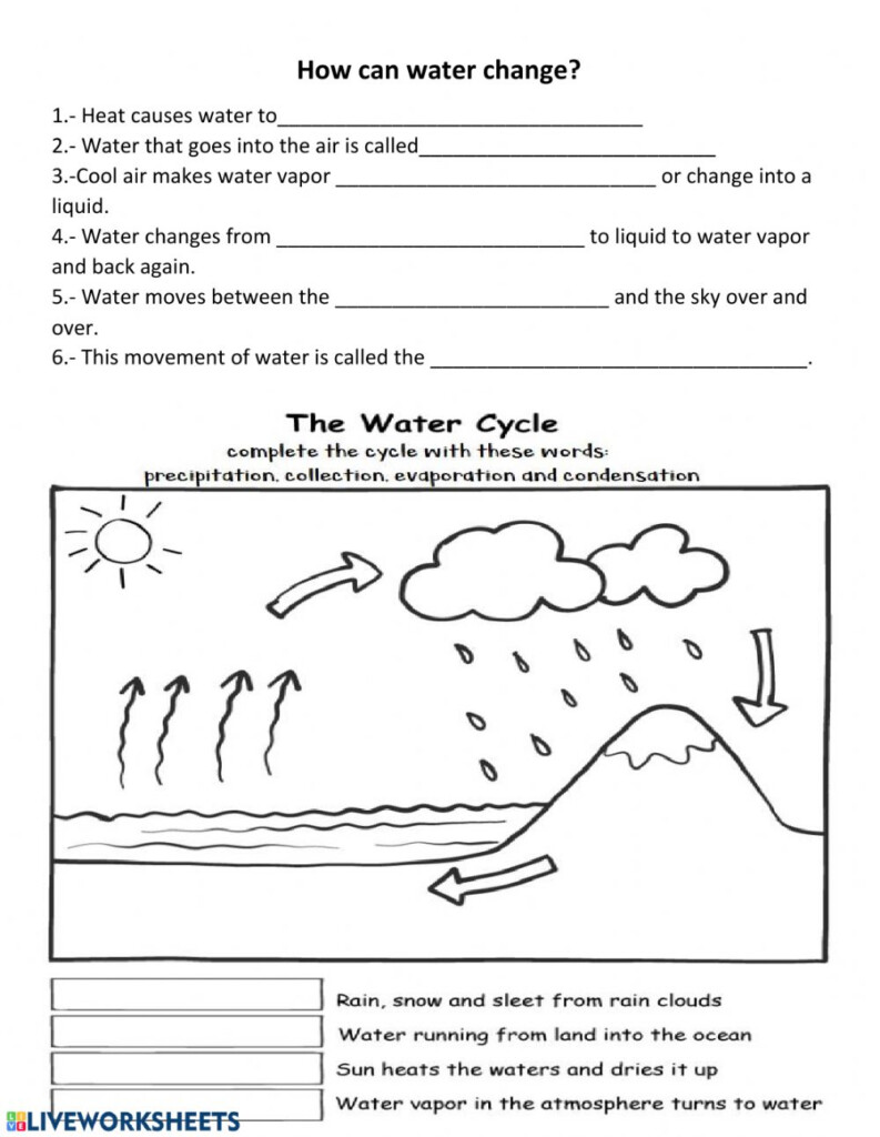 Water Cycle Interactive Activity