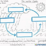 Water Cycle Interactive Activity For Grade 3 5