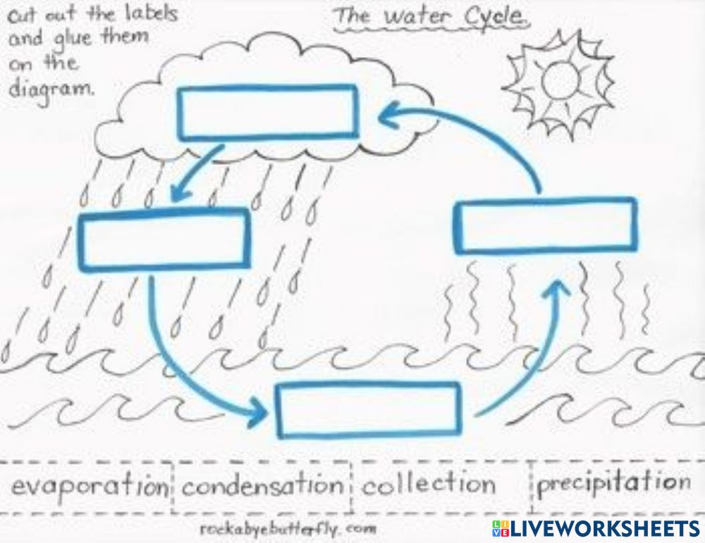 Water Cycle Interactive Activity For Grade 3 5