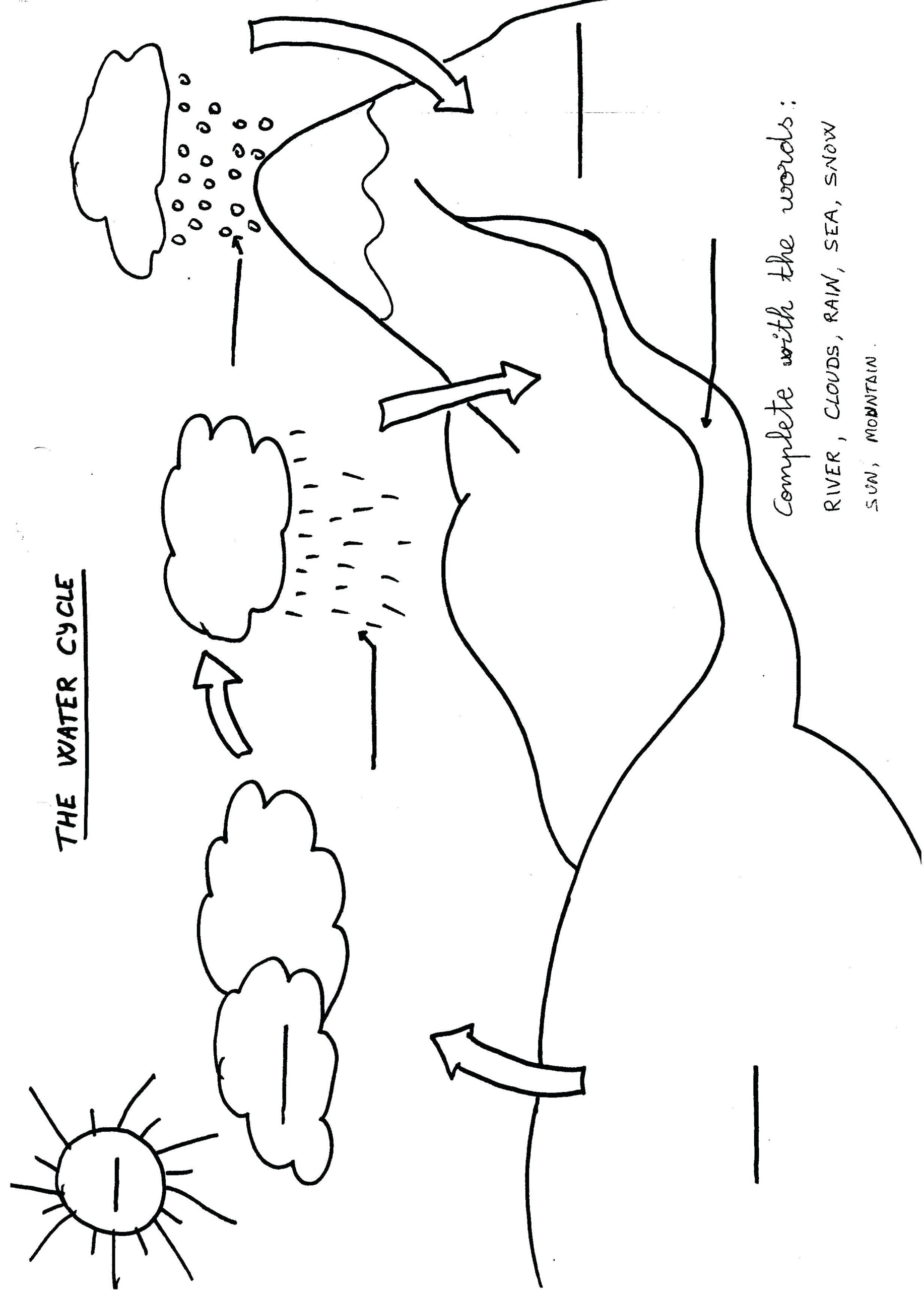 Water Cycle Labeling Worksheet 364355 Worksheet med Bilder 