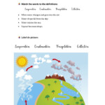 Water Cycle Online Worksheet For Grade 4