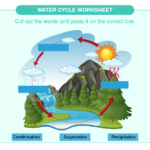 Water Cycle Worksheet 2022