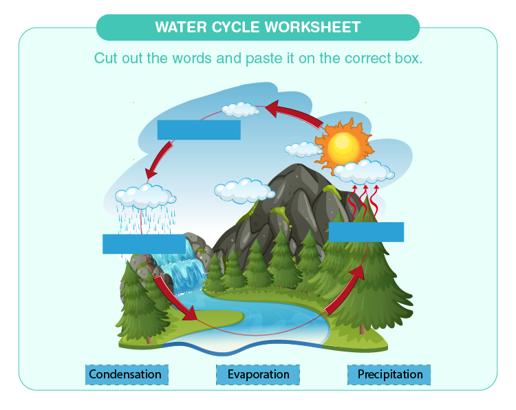 Water Cycle Worksheet 2022