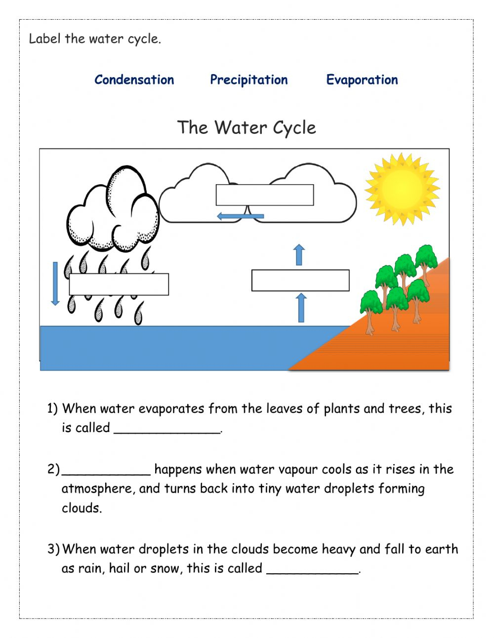 Water Cycle Worksheet Answer Key