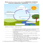 Water Cycle Worksheet Answer Key