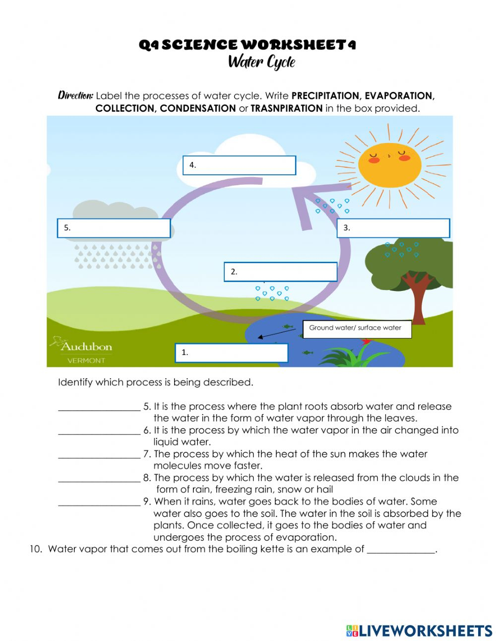 Water Cycle Worksheet Answer Key