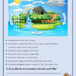 Water Cycle Worksheet Answers Greenize