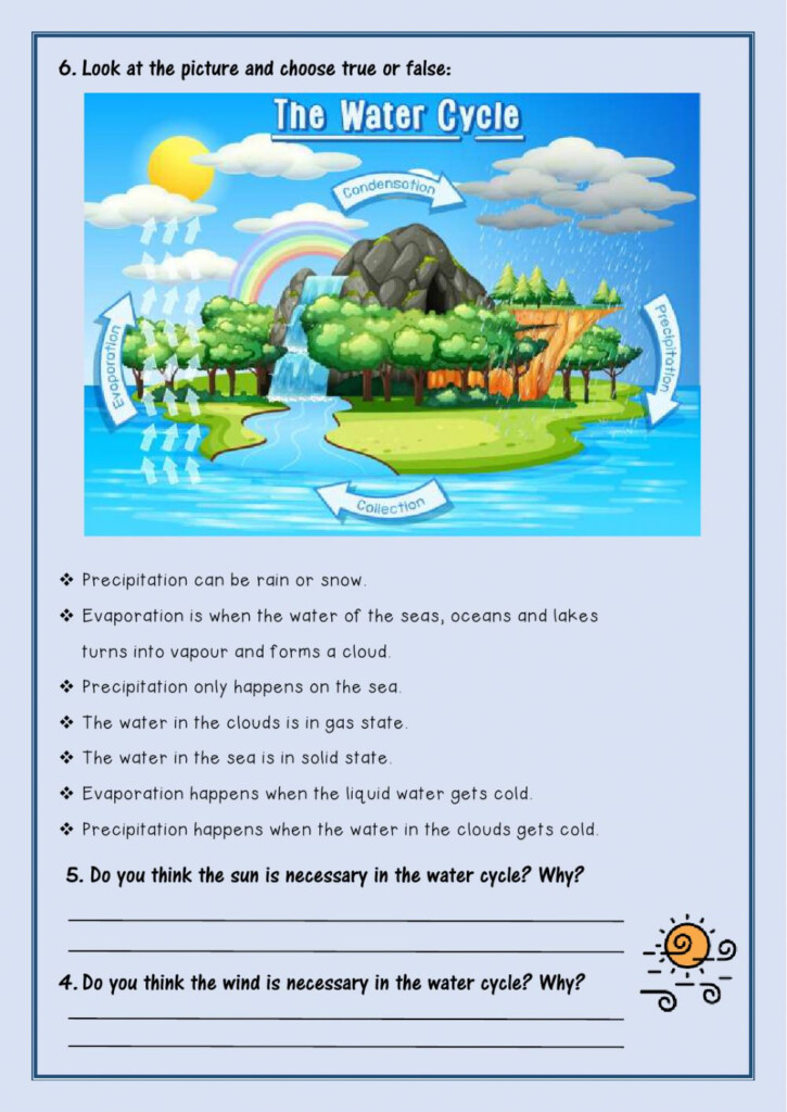 Water Cycle Worksheet Answers Greenize