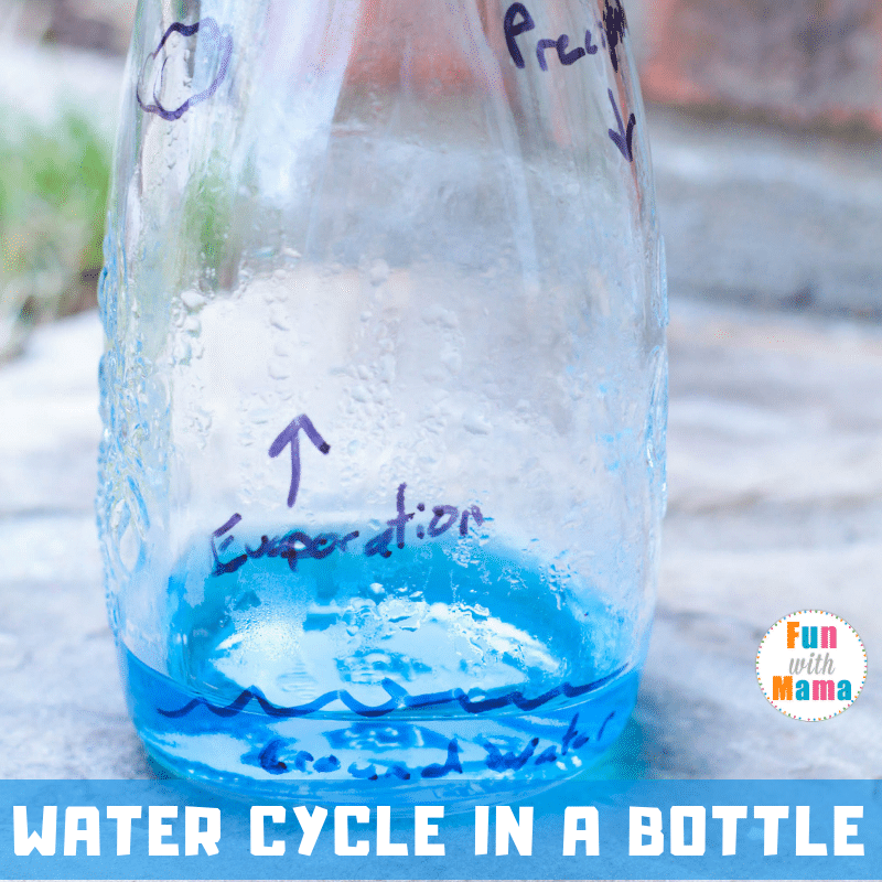 Water Cycle Worksheet Learning Pack Fun With Mama