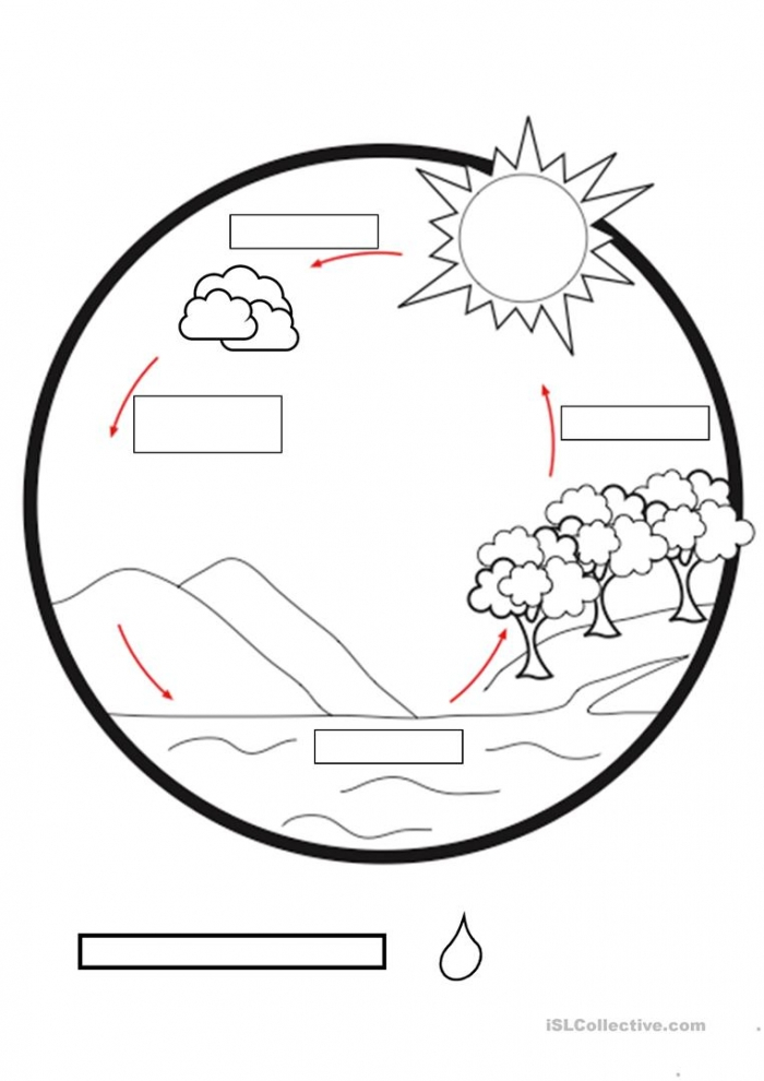 Water Cycle Worksheet Pdf