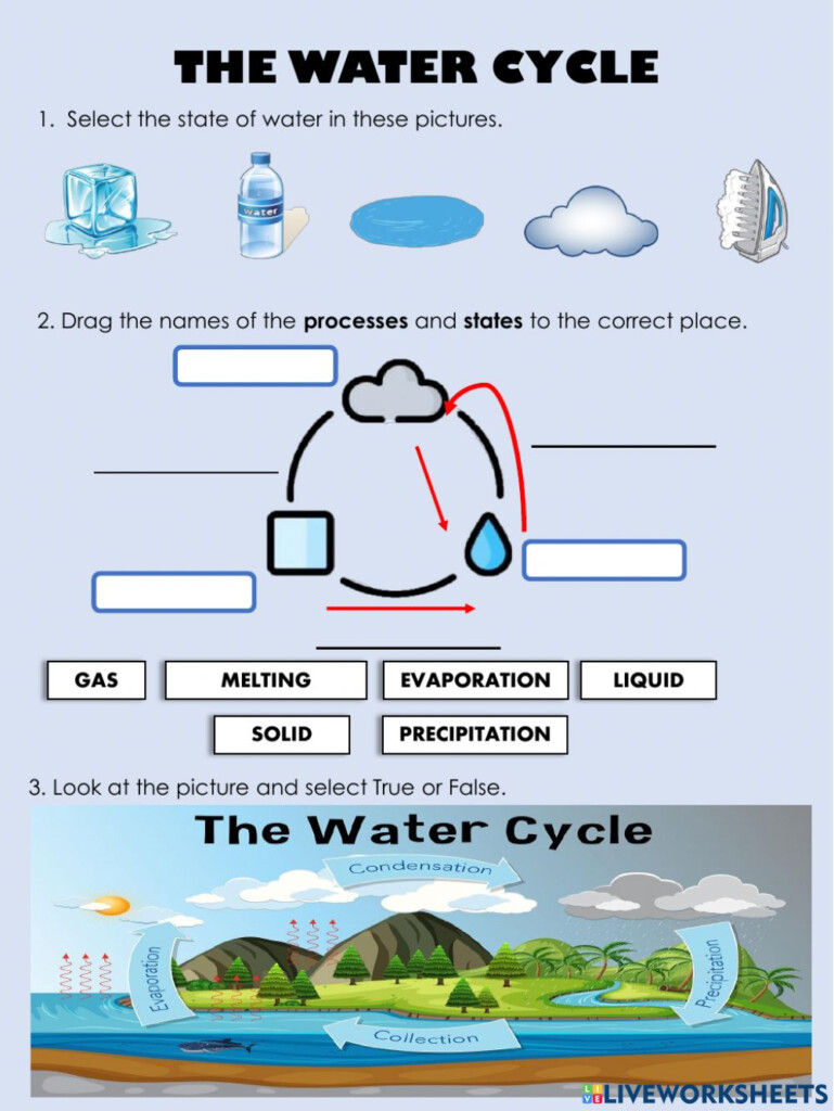 Water Cycle Worksheet Pdf