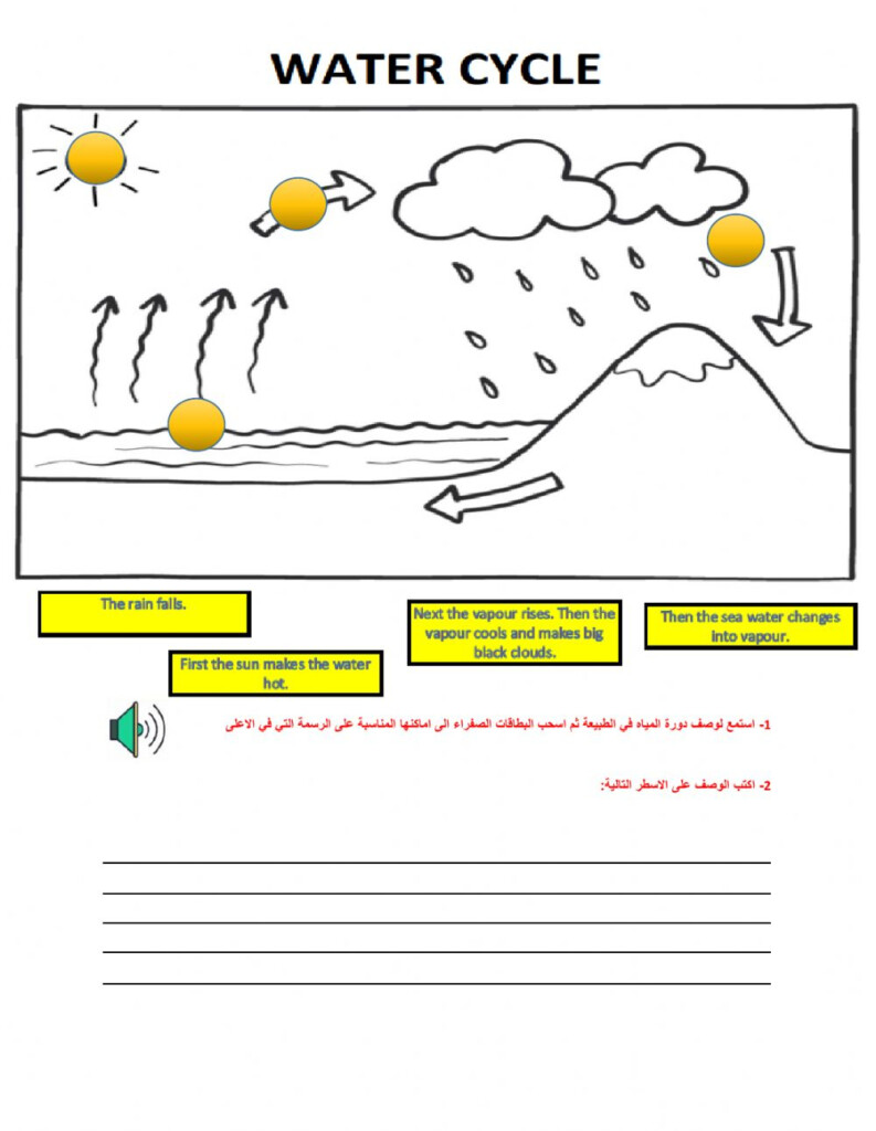 Water Cycle Worksheets