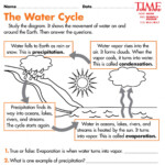 Water Cycle Worksheets 6th Grade