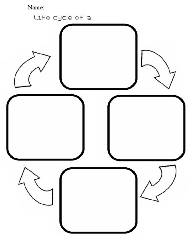 What We re Learning In June Plant Life Cycle Worksheet Plant Life 