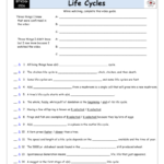 Worksheet For Bill Nye Life Cycles Video Differentiated Worksheet