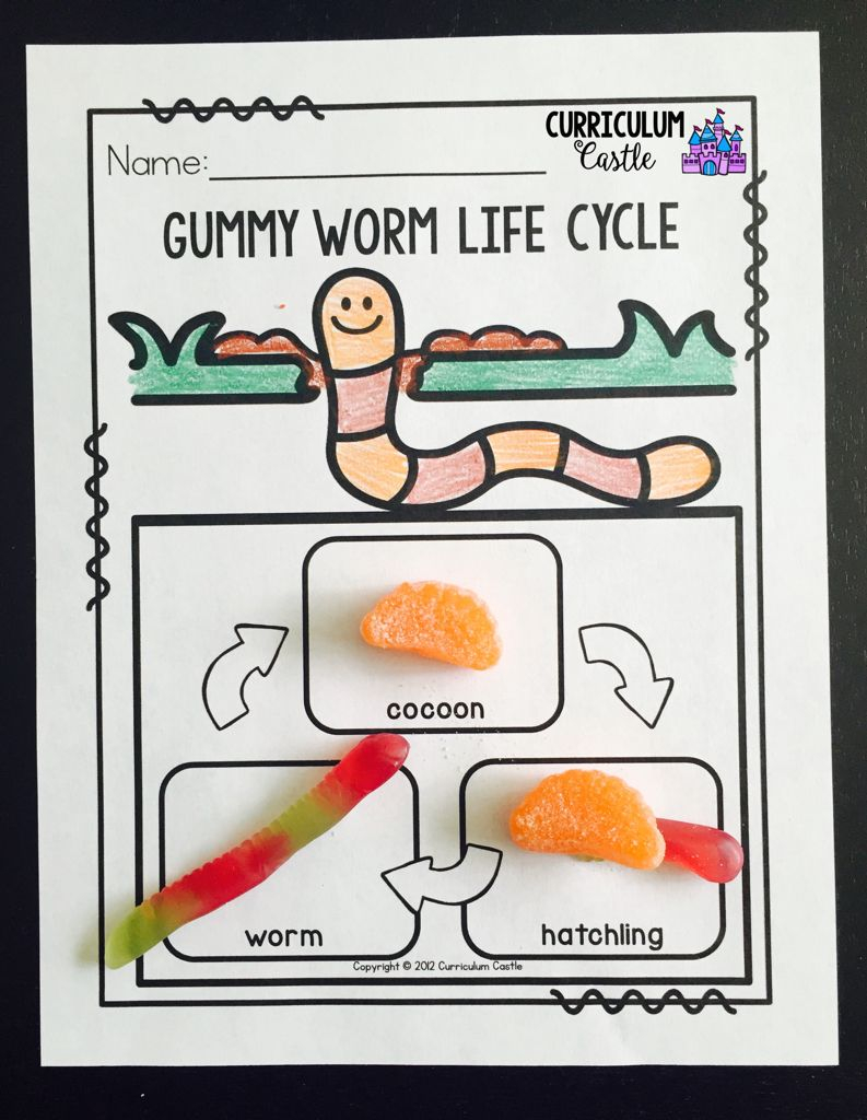 Worm Science Investigation Unit Worm Science Worms Preschool Worm