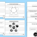 Year 5 Differentiated Life Cycles Worksheets teacher Made